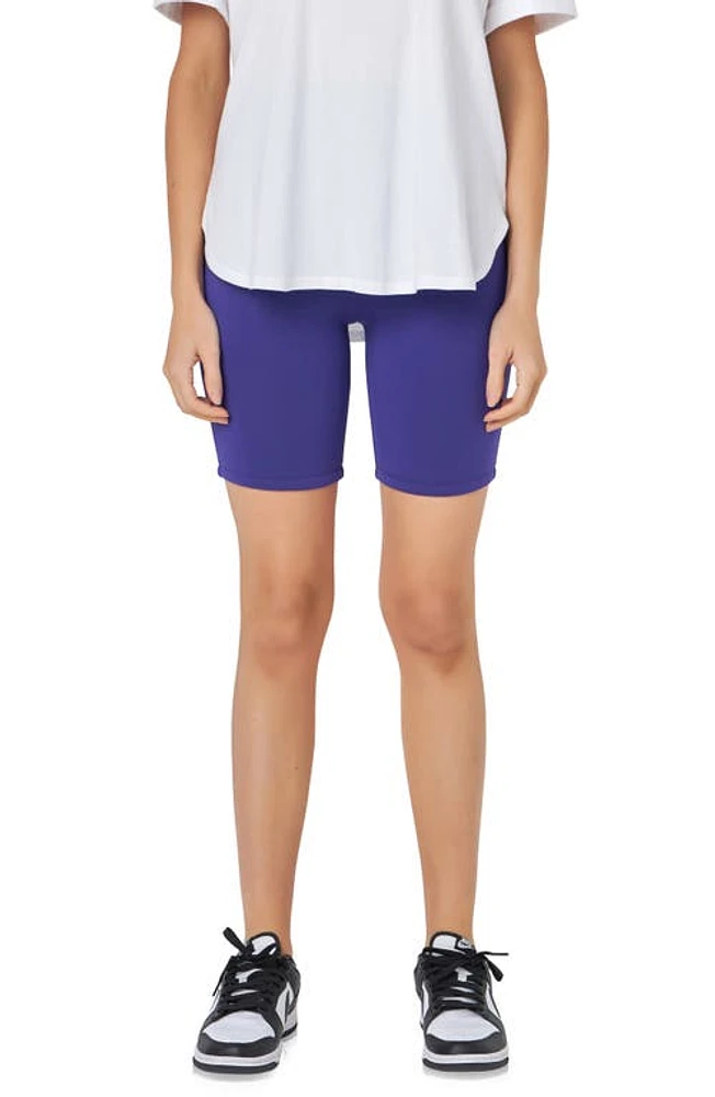 Grey Lab Bike Shorts at Nordstrom,