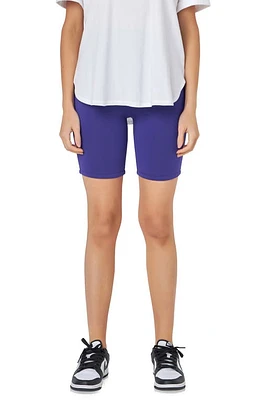 Grey Lab Bike Shorts at Nordstrom,