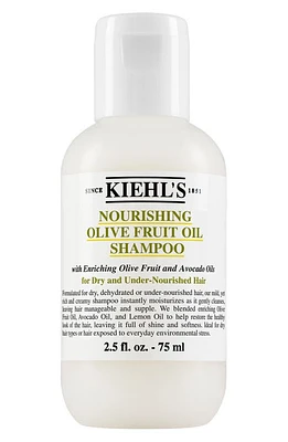 Kiehl's Since 1851 Olive Fruit Oil Nourishing Shampoo at Nordstrom, Size 16.9 Oz