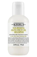 Kiehl's Since 1851 Olive Fruit Oil Nourishing Shampoo at Nordstrom, Size 16.9 Oz