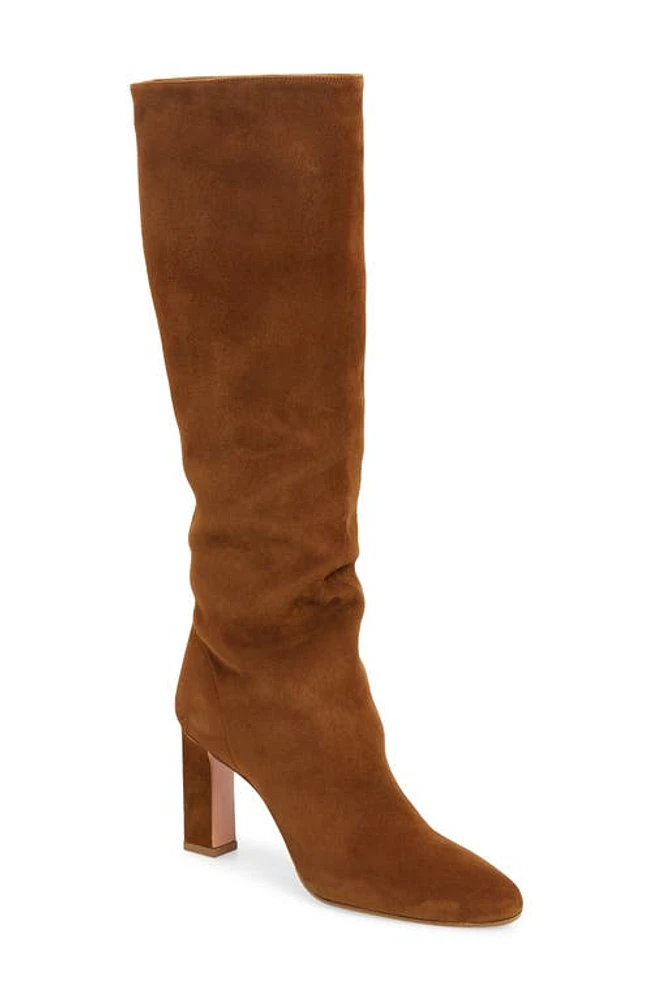 Aquazzura Manzoni Suede Tall Boot Chestnut at Nordstrom,