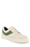 Vince Warren Retro Sneaker Palmleaf at Nordstrom,