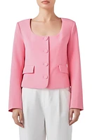 Endless Rose Scoop Neck Button-Up Blazer Pink at Nordstrom,