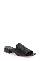 Pedro Garcia Ebba Slide Sandal Petitgrain at Nordstrom,