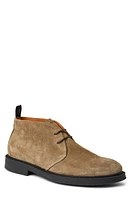 Bruno Magli Taddeo Desert Boot Taupe Suede at Nordstrom,