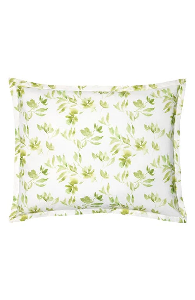 SFERRA Procida Floral Cotton Sham in Kiwi at Nordstrom