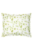 SFERRA Procida Floral Cotton Sham in Kiwi at Nordstrom