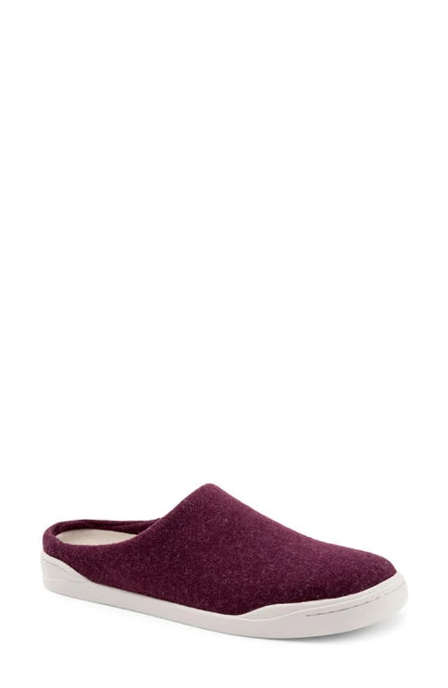 SoftWalk Auburn Mule Burg Felt at Nordstrom,