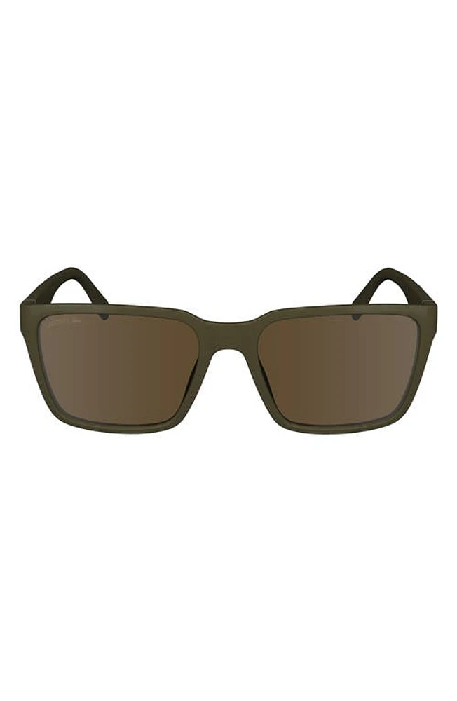 Lacoste 56mm Rectangular Sunglasses in Brown/Khaki at Nordstrom