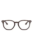 Ray-Ban Unisex 52mm Round Optical Glasses in Havana at Nordstrom