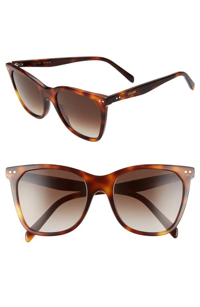 CELINE 55mm Cat Eye Sunglasses in Blonde Havana/Gradient Brown at Nordstrom