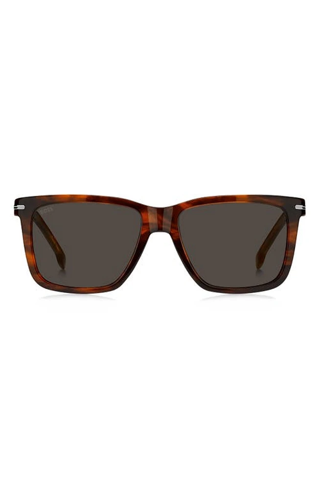 BOSS 55mm Square Sunglasses in Brown Horn at Nordstrom