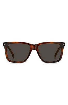 BOSS 55mm Square Sunglasses in Brown Horn at Nordstrom