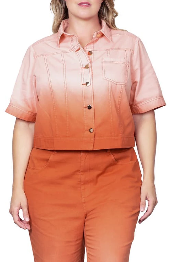 Standards & Practices Dip Dye Crop Jacket Coral at Nordstrom,