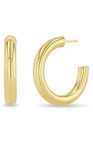 Zoë Chicco Medium Tube Hoop Earrings in 14K Yellow Gold at Nordstrom