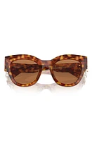 Miu Miu 51mm Butterfly Sunglasses in Lite Havana at Nordstrom