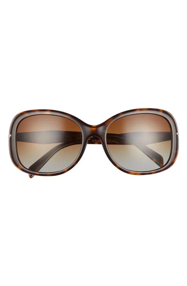 Prada 57mm Oversize Polarized Round Sunglasses in Tortoise at Nordstrom