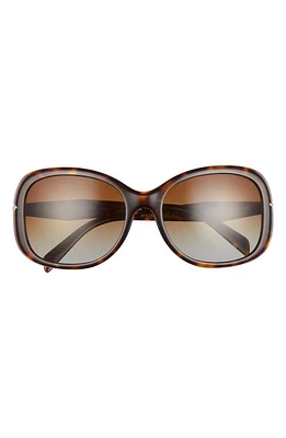 Prada 57mm Oversize Polarized Round Sunglasses in Tortoise at Nordstrom