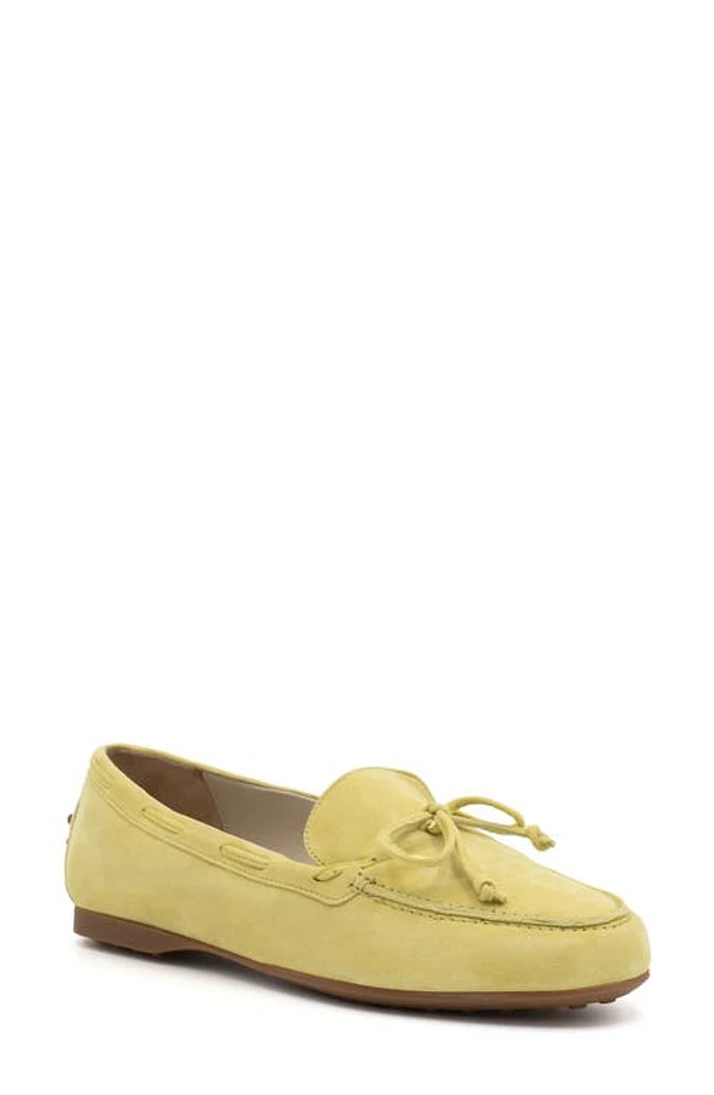 Amalfi by Rangoni Dubblino Driving Loafer Cashmere at Nordstrom,