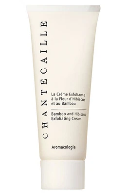 Chantecaille Bamboo & Hibiscus Exfoliating Cream at Nordstrom