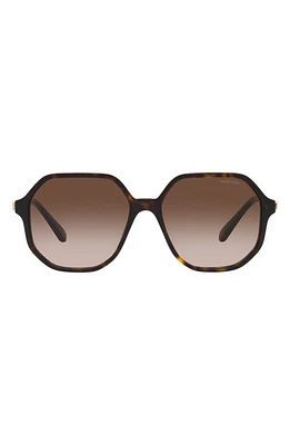 Swarovski 57mm Gradient Octagonal Sunglasses in Havana at Nordstrom