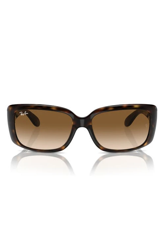 Ray-Ban 55mm Polarized Pillow Sunglasses in Dark Havana at Nordstrom