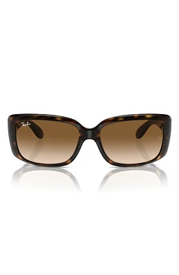 Ray-Ban 55mm Polarized Pillow Sunglasses in Dark Havana at Nordstrom