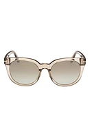 TOM FORD Moira 53mm Gradient Butterfly Sunglasses in Transparent Oyster/Brown Blue at Nordstrom