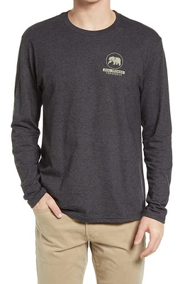 The Normal Brand Registered Trademark Long Sleeve Graphic Tee in Charcoal at Nordstrom, Size Small