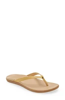 OluKai Ho Opio Leather Flip Flop at Nordstrom,