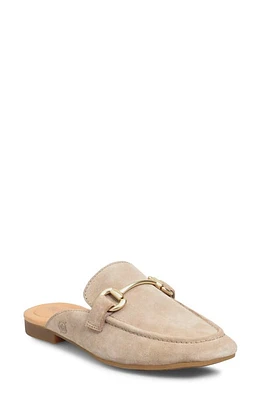 Børn Lareina Mule Taupe at Nordstrom,