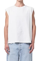 AGOLDE Seth Muscle T-Shirt at Nordstrom,