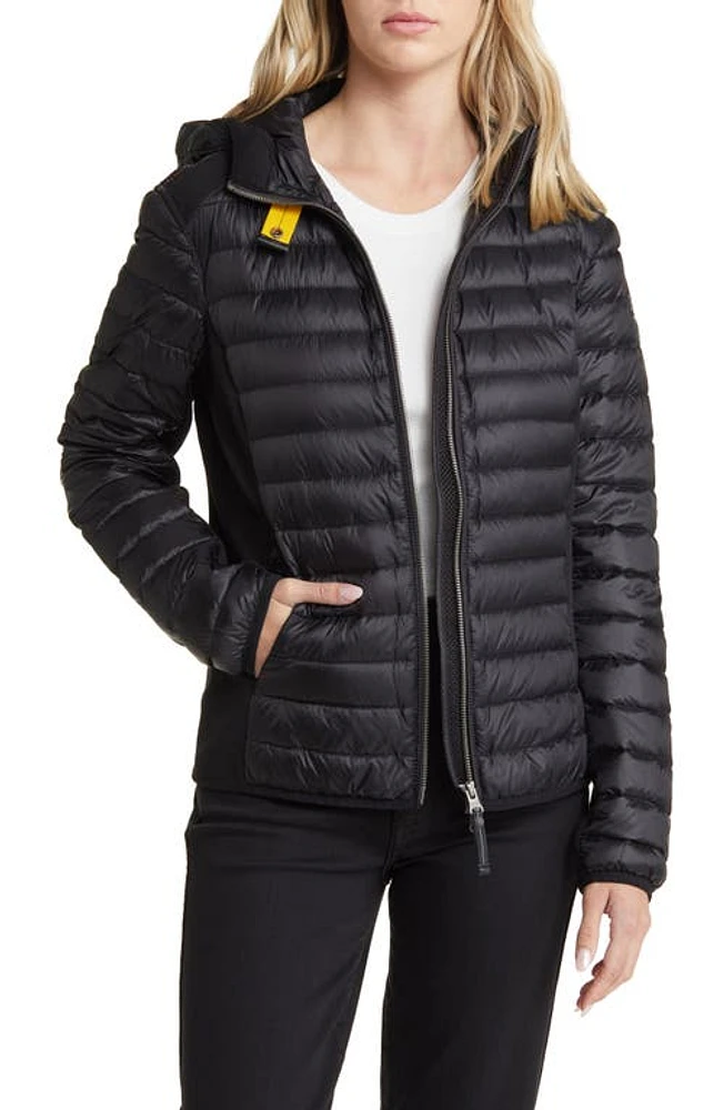 Parajumpers Kym Water Repellent 770 Fill Power Down Puffer Jacket in Black at Nordstrom, Size X-Large