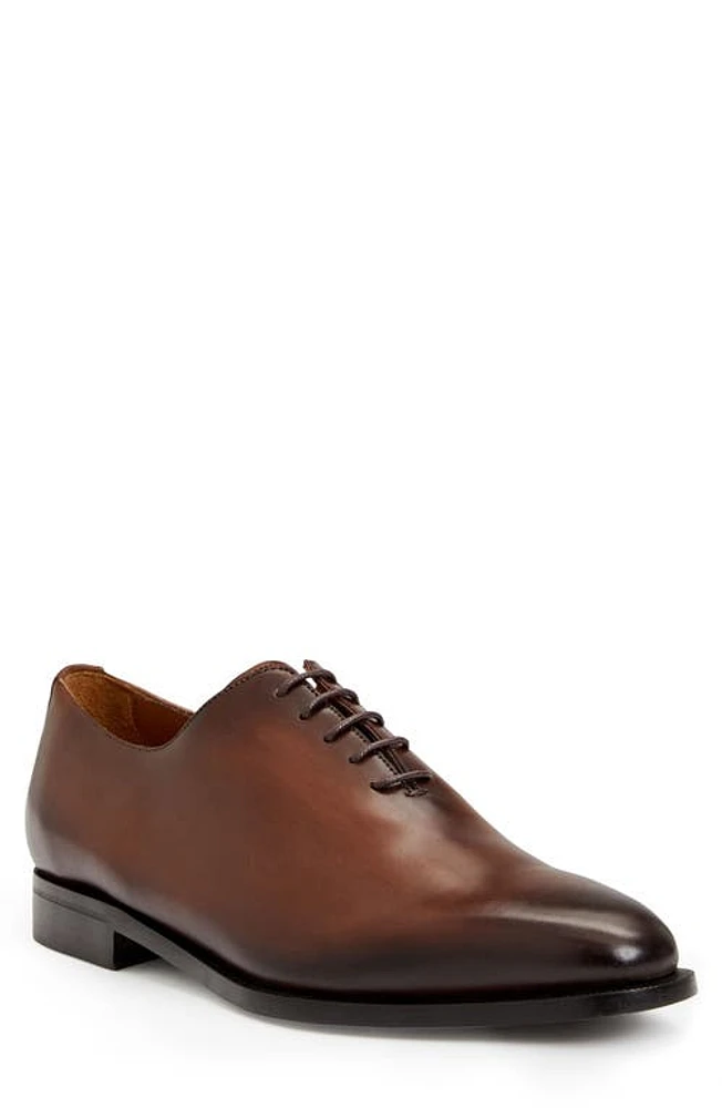 BRUNO MAGLI COLLEZIONE Veleno Wholecut Shoe Brown at Nordstrom,