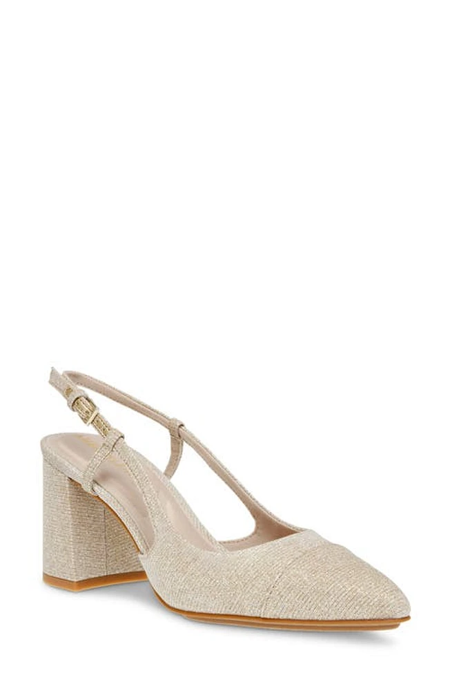 Anne Klein Brinlee Pointed Toe Pump at Nordstrom,