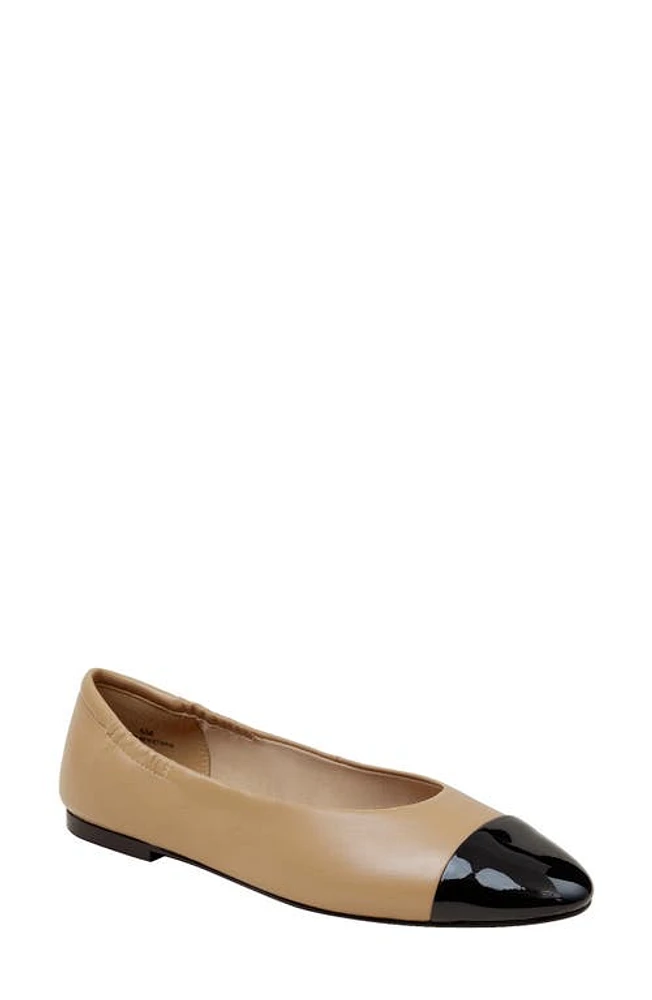 Linea Paolo Nolan Cap Toe Ballet Flat at Nordstrom,