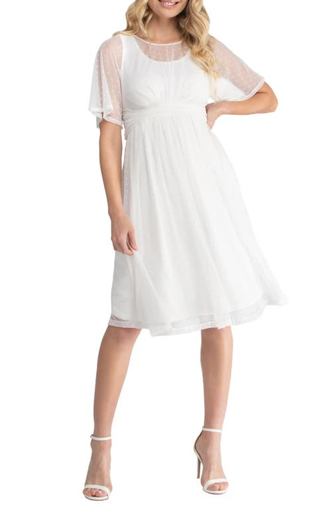 Kiyonna Stars Sheer Overlay Dress Ivory at Nordstrom,