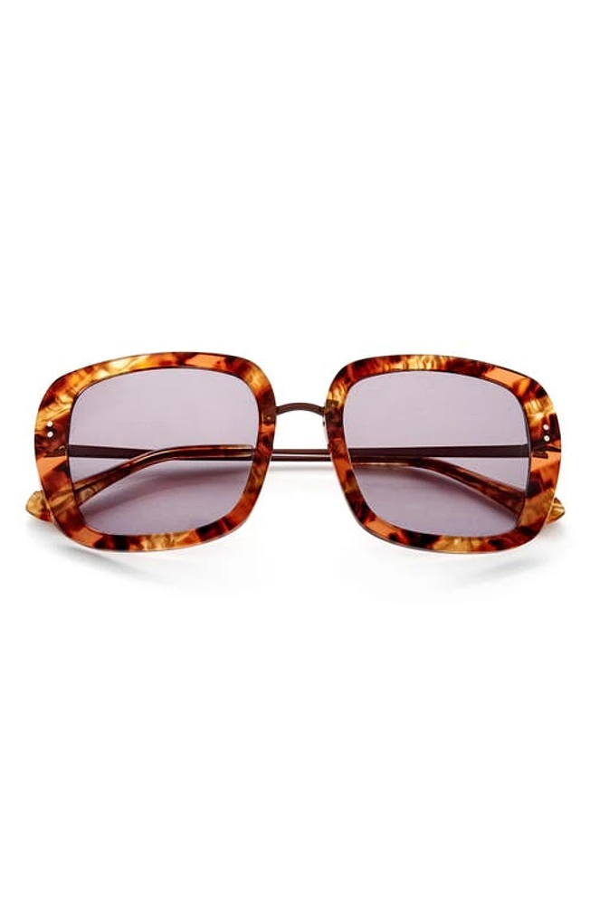 Gemma Styles Baker Street 52mm Square Sunglasses in Tigers Eye at Nordstrom