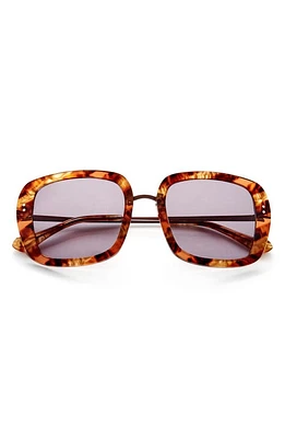 Gemma Styles Baker Street 52mm Square Sunglasses in Tigers Eye at Nordstrom