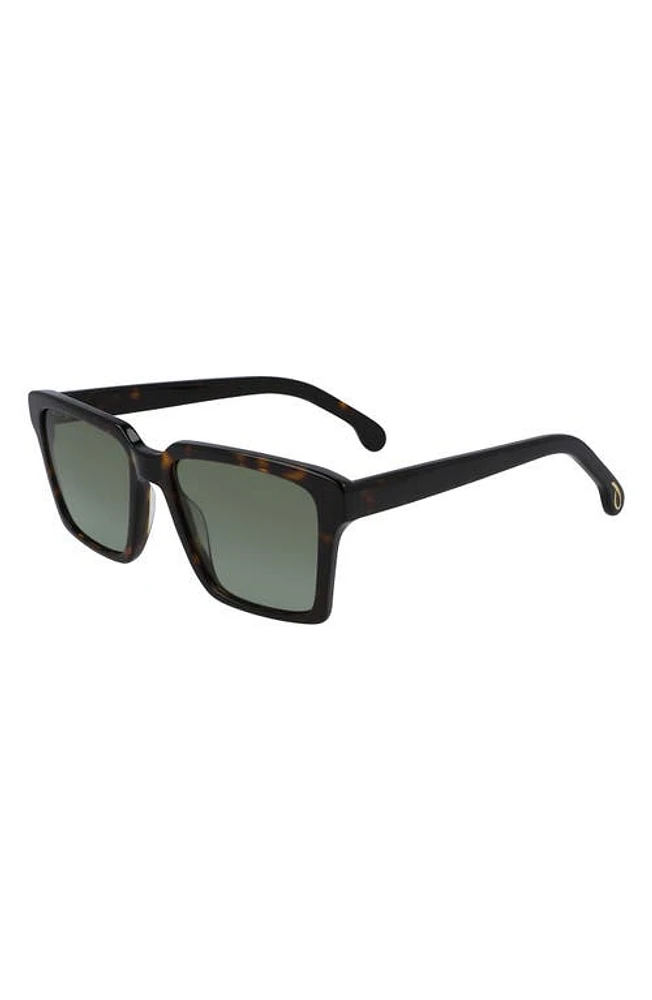 Paul Smith Austin 53mm Square Sunglasses in Deep Tortoise at Nordstrom