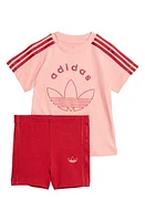 adidas Trefoil Graphic T-Shirt & Bike Shorts Set Semi Pink at Nordstrom,