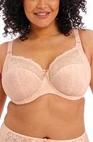 Elomi Morgan Full Figure Underwire Bra at Nordstrom,