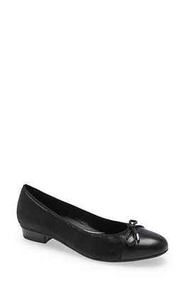 ara Belinda Ballet Flat in Black Glen Leather at Nordstrom, Size 5.5