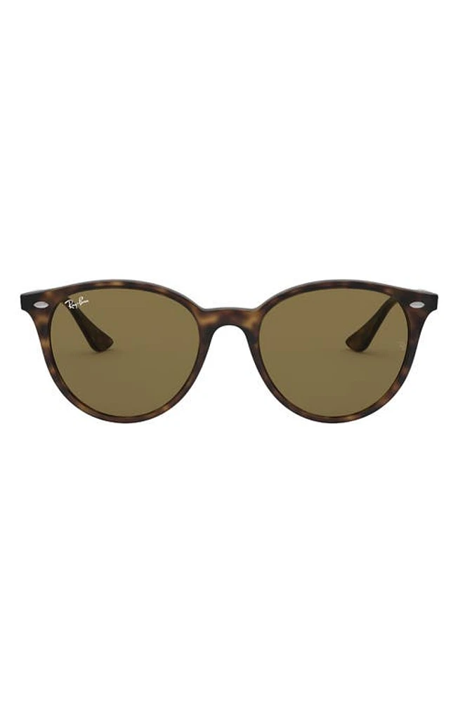 Ray-Ban Phantos 53mm Polarized Round Sunglasses in Havana/Brown Solid at Nordstrom