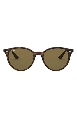 Ray-Ban Phantos 53mm Polarized Round Sunglasses in Havana/Brown Solid at Nordstrom