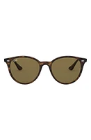 Ray-Ban Phantos 53mm Polarized Round Sunglasses in Havana/Brown Solid at Nordstrom