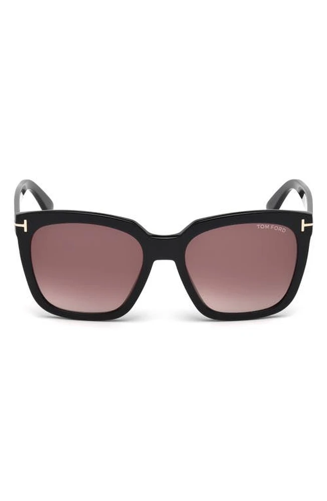 TOM FORD Amarra 55mm Gradient Square Sunglasses in Black/Gradient Burgundy at Nordstrom