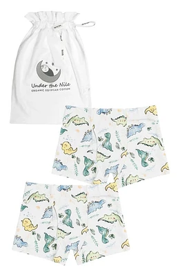 Under the Nile Kids' 2-Pack Organic Cotton Boxer Briefs in at Nordstrom