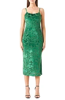 Endless Rose Velvet Floral Midi Slipdress Green at Nordstrom,