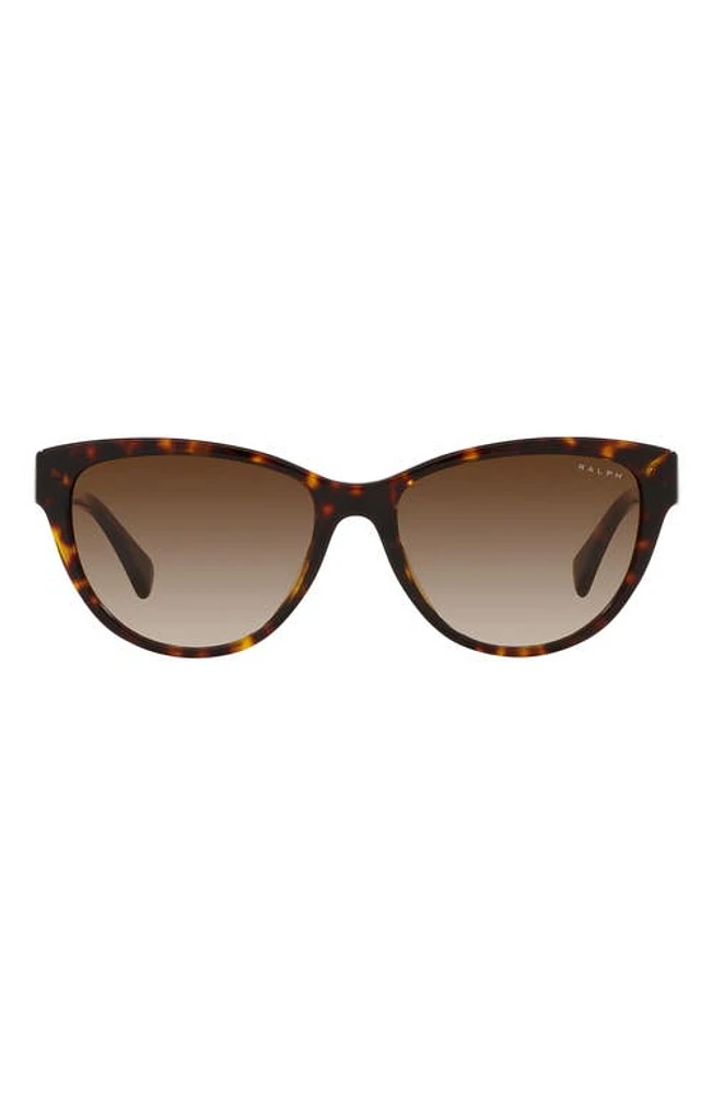 RALPH 56mm Gradient Oval Sunglasses in Shiny Hava at Nordstrom